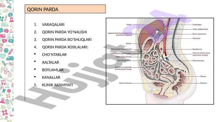 Qorin parda bo'shliqlari va klinik ahamiyati