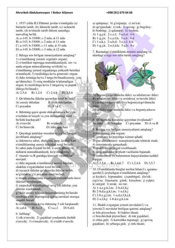 O'simlik ildizlari haqida savollar