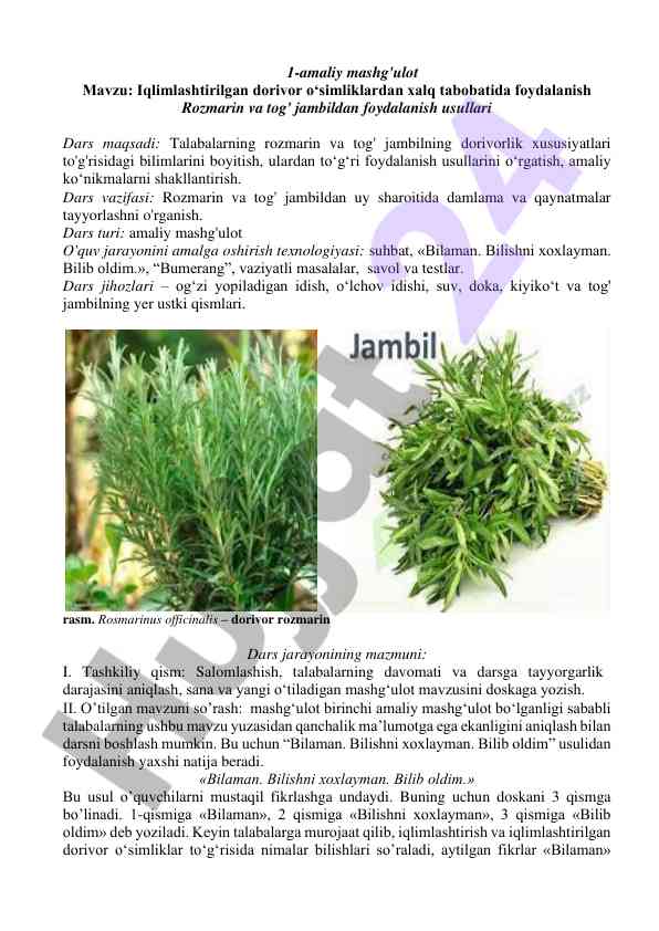 Iqlimlashtirilgan dorivor o‘simliklar bilan amaliy mashg‘ulot