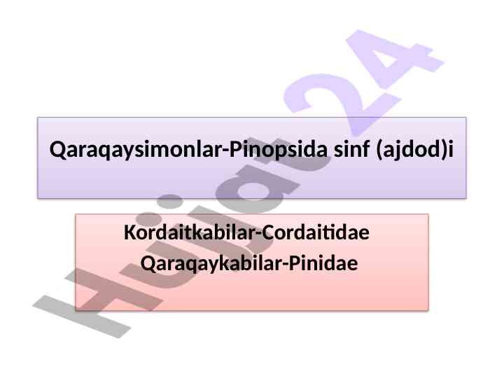 Qaraqaysimonlar va kordaitkabilar turi tafsilotlari