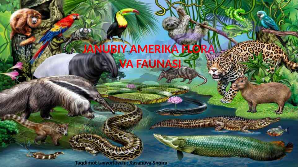 Janubiy amerika flora va faunasi taqdimoti