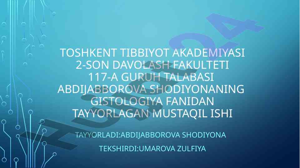 Yurak va qon tomir sistemasi asosiy gistologiya