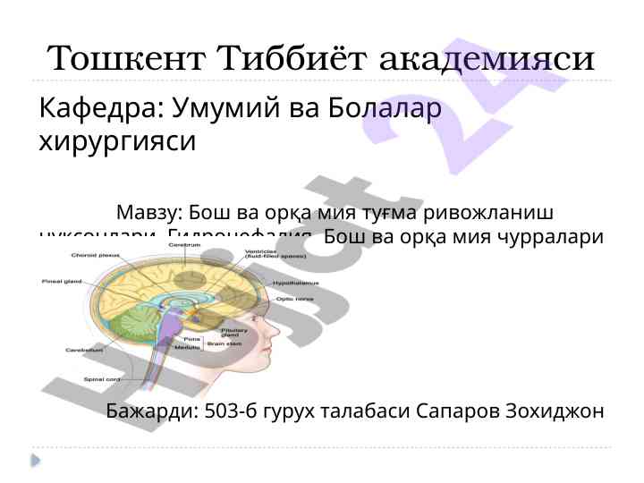 Бош ва орқа мия туғма ривожланиш нуқсонлари