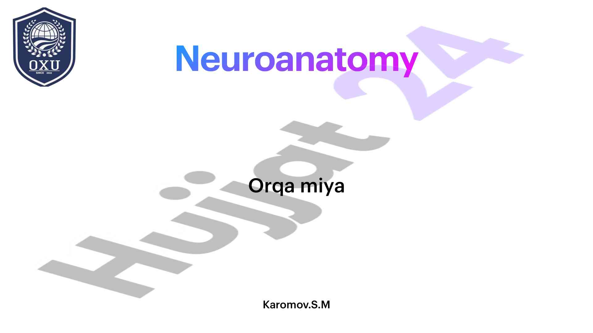 Neuroanatomy overview of spinal cord structure