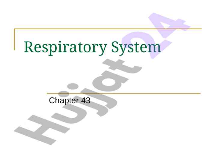 Respiratory system overview and functions