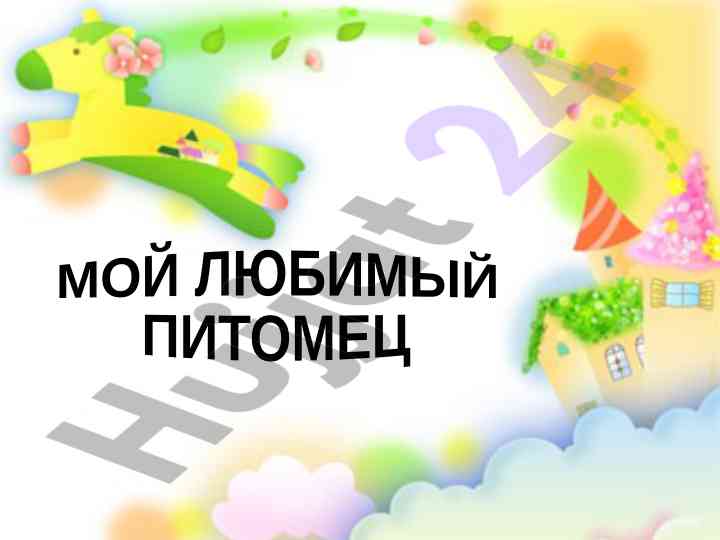 Увлечения и забавные животные у суннатилло
