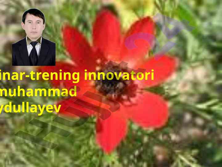 Seminar-treningda bxbxb texnologiyasi tartibi