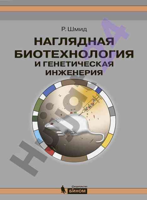 Наглядная биотехнология и генетическая инженерия