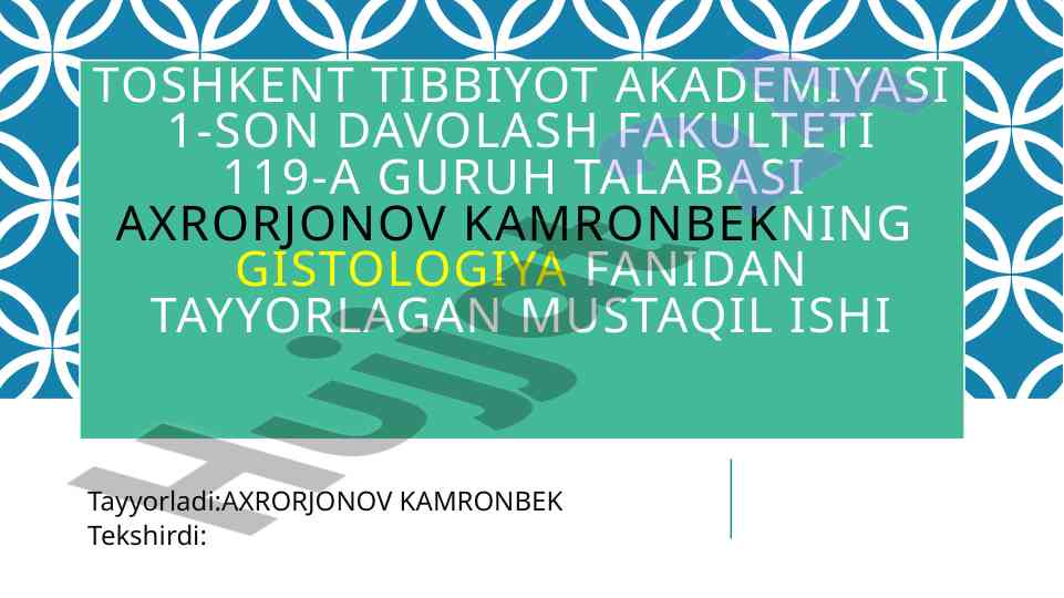Yurak va qon tomir sistemasi bo‘yicha mustaqil ish
