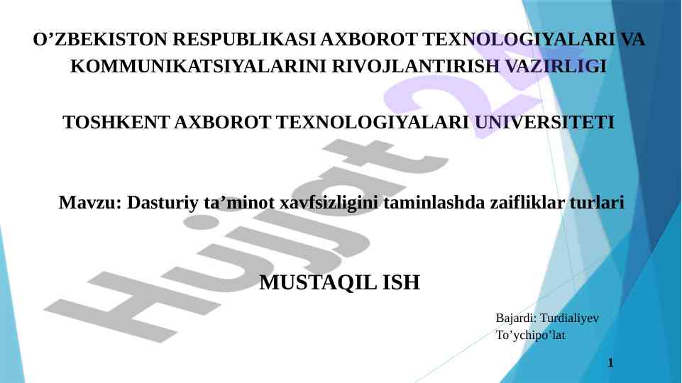 Dasturiy ta’minot xavfsizligi va zaiflik turlari