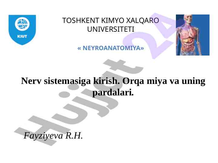 Nerv sistemasiga kirish va orqa miya tuzilishi
