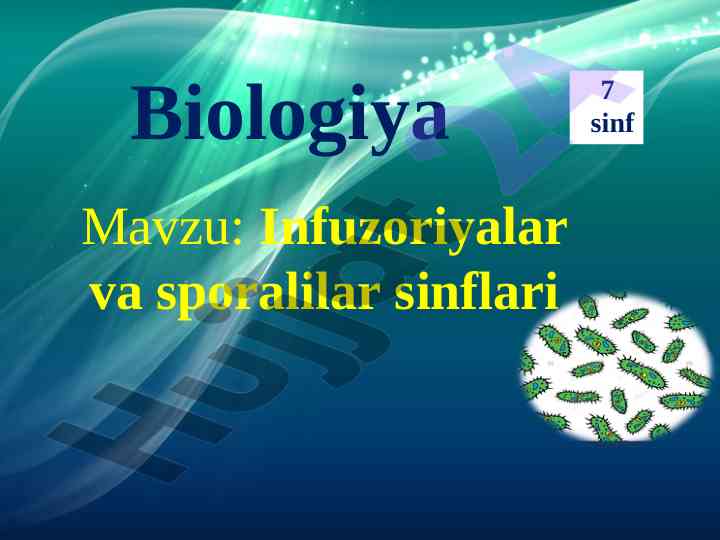 Infuzoriyalar va sporalilar sinflari haqida ma'lumotlar