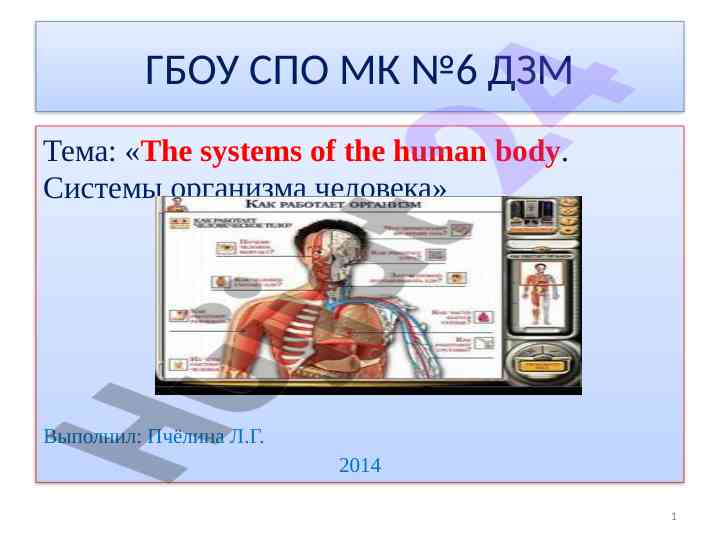 The systems of the human body системы организма человека