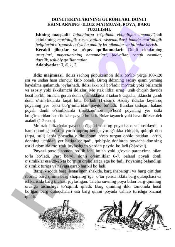 Donli ekinlarning guruhlari va morfologik xususiyatlari