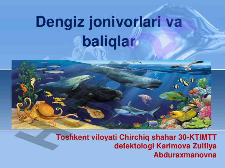 Dengiz jonivorlari va baliqlar hakkida qisqacha ma'lumot