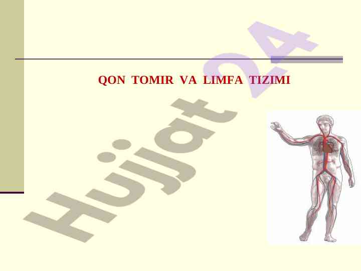 Qon tomir va limfa tizimining ahamiyati
