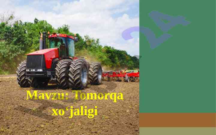 Tomorqa xo‘jaligi rivojlanishi va turlari