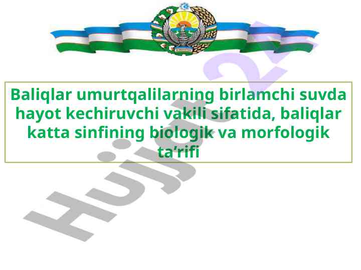 Baliqlarning Biologik Va Morfologik Ta'rifi