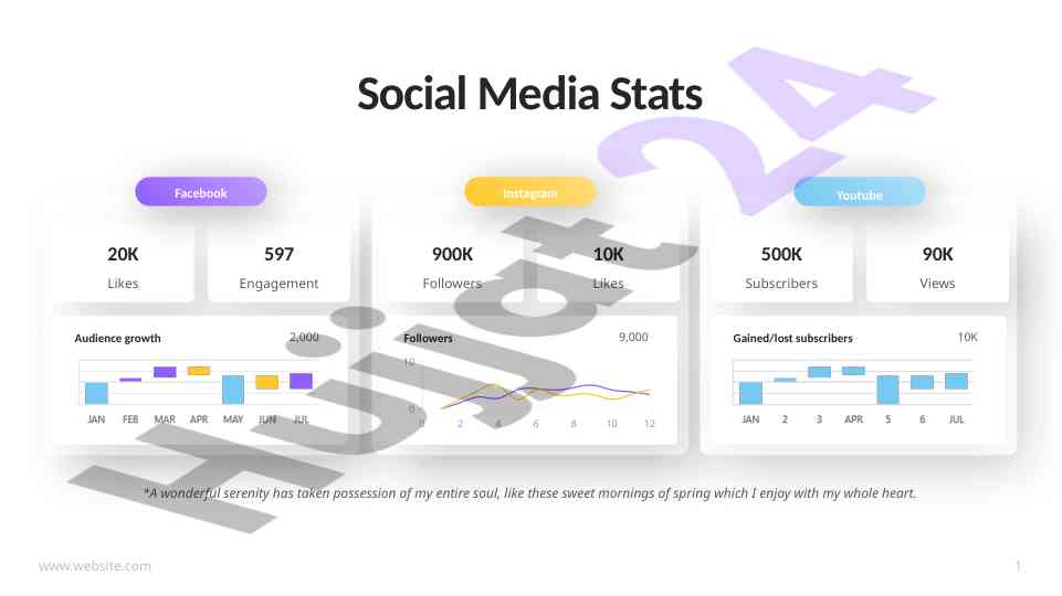 Social media engagement and followers statistics