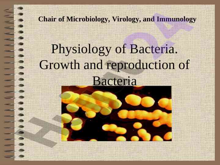 Physiology of bacteria growth and reproduction overview