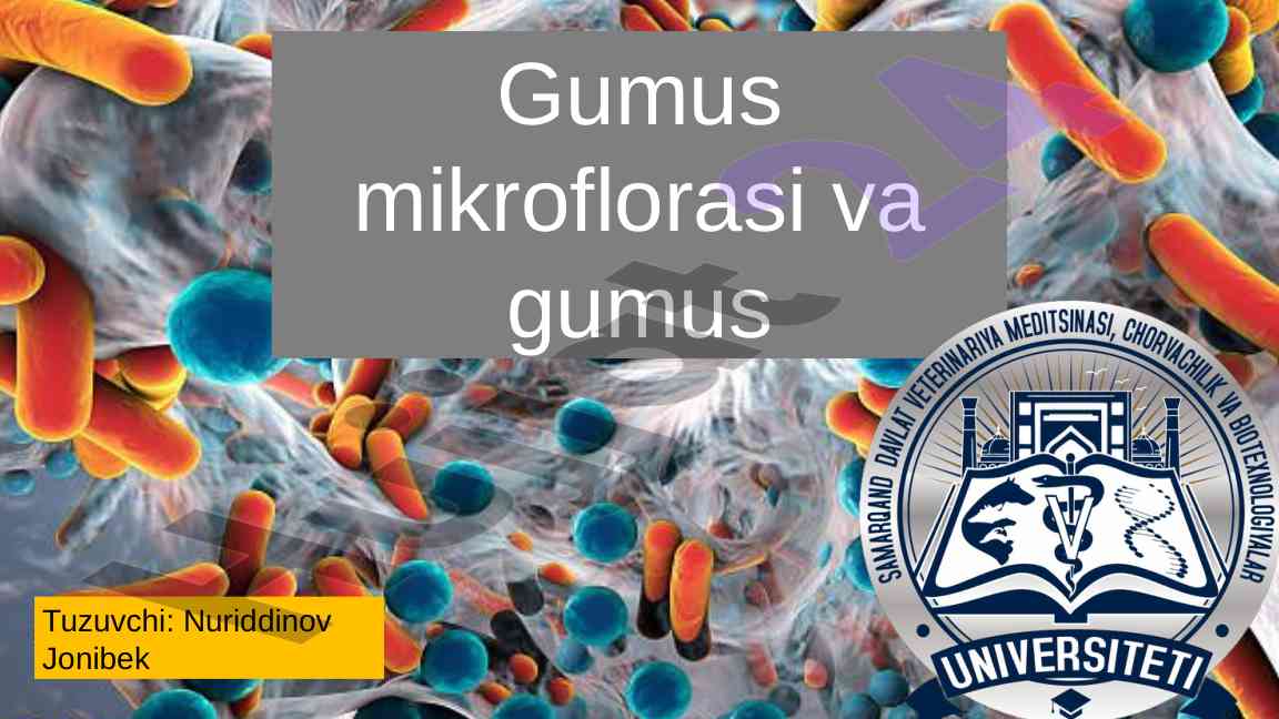 Gumus mikroflorasi va uning tuproq unumdorligidagi ahmiyati