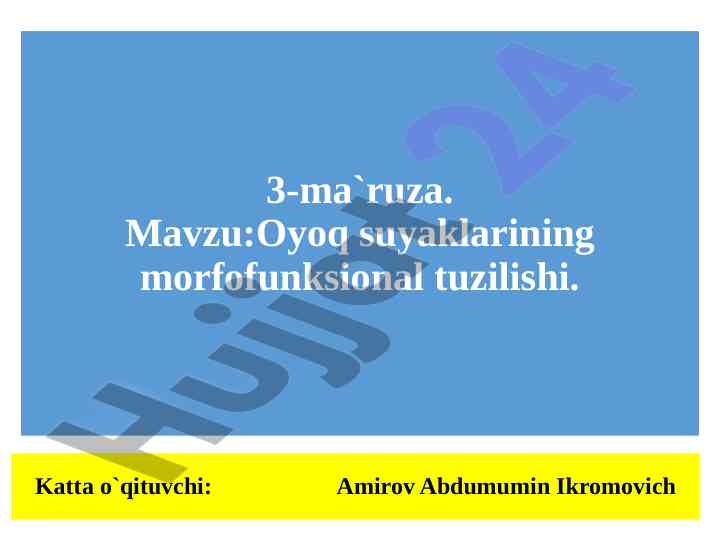 Oyoq suyaklarining morfofunksional tuzilishi