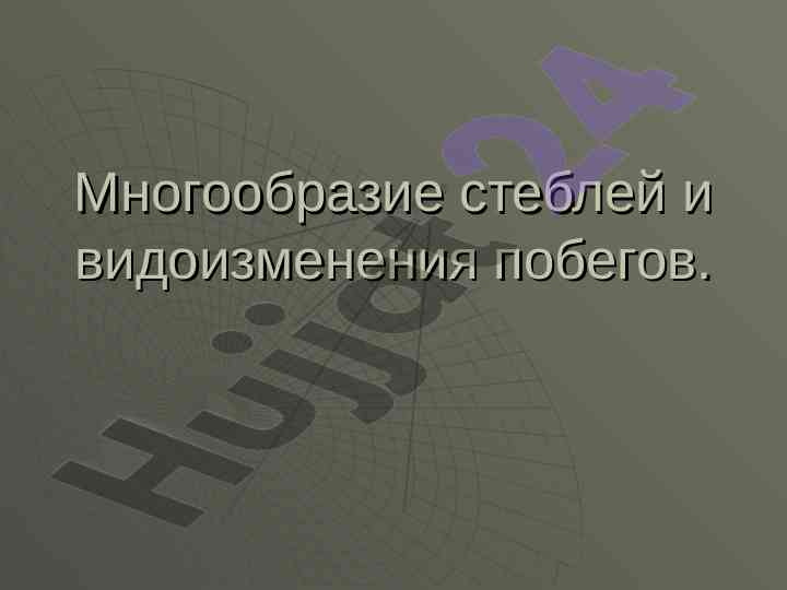 Структура и разнообразие побегов растений