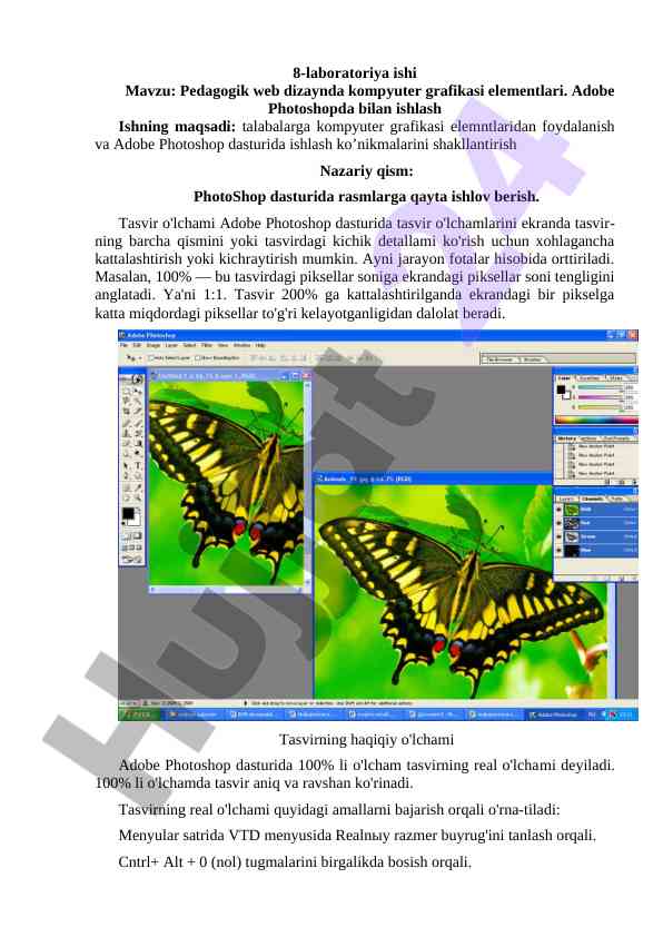 Pedagogik web dizaynda kompyuter grafikasi elementlari