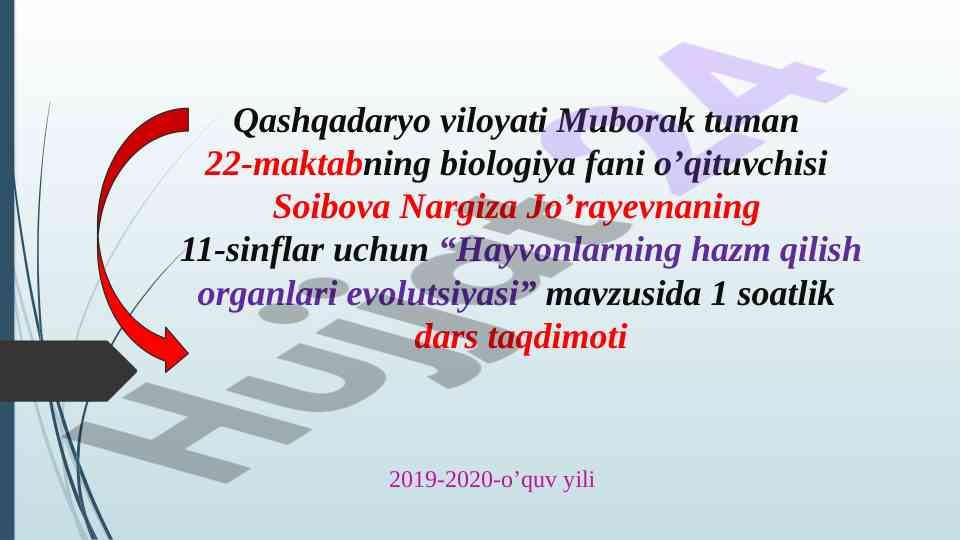 Hayvonlarning hazm qilish organlari evolutsiyasi