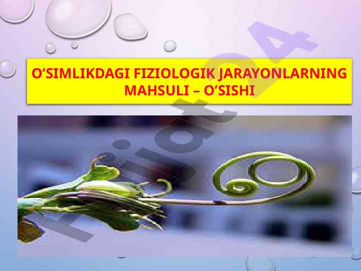 O’simlikdagi fiziologik jarayonlar va o’sishi