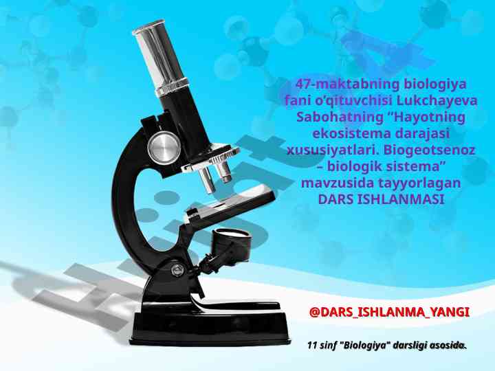Hayotning ekosistema darajasi xususiyatlari dars ishlanmasi