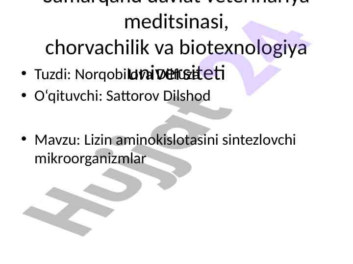 Lizin aminokislotasini sintezlovchi mikroorganizmlar