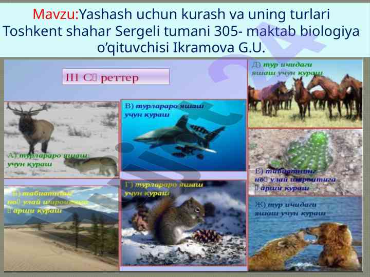Yashash uchun kurash va uning turlari