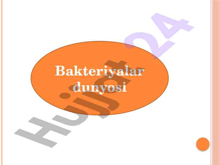 Bakteriyalar dunyosi tashqi tuzilishiga ko‘ra