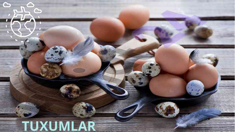 Tuxumlar turi va ularning xususiyatlari