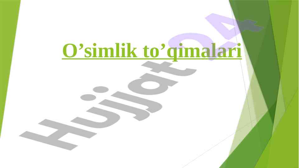 O’simlik to’qimalari tahlili va vazifalari