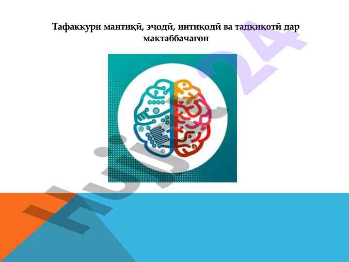 Tafakkuri mantiqi va ijodiy talabalar uchun