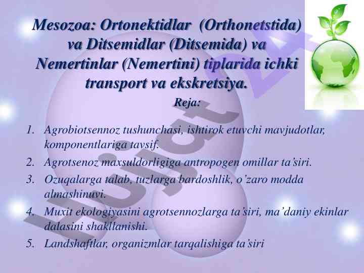 Agrobiotsenoz va ekologiya tushunchalari