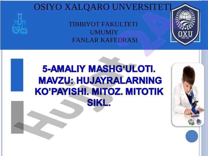 Mitoz sikli va hujayra bo‘linishi tahlili