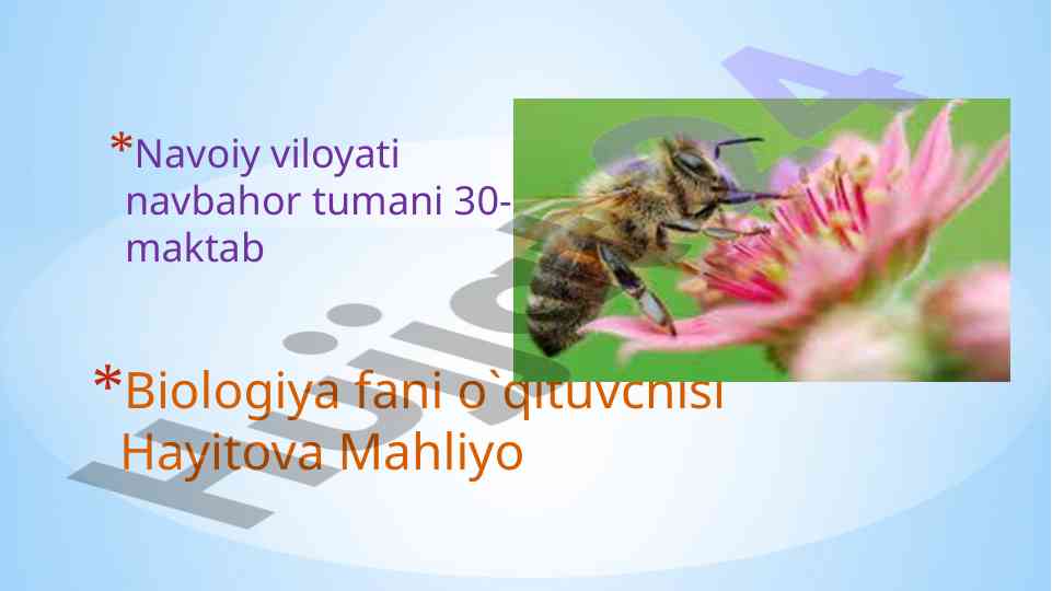 Gul – o’simliklarning generativ ko'payish organlari