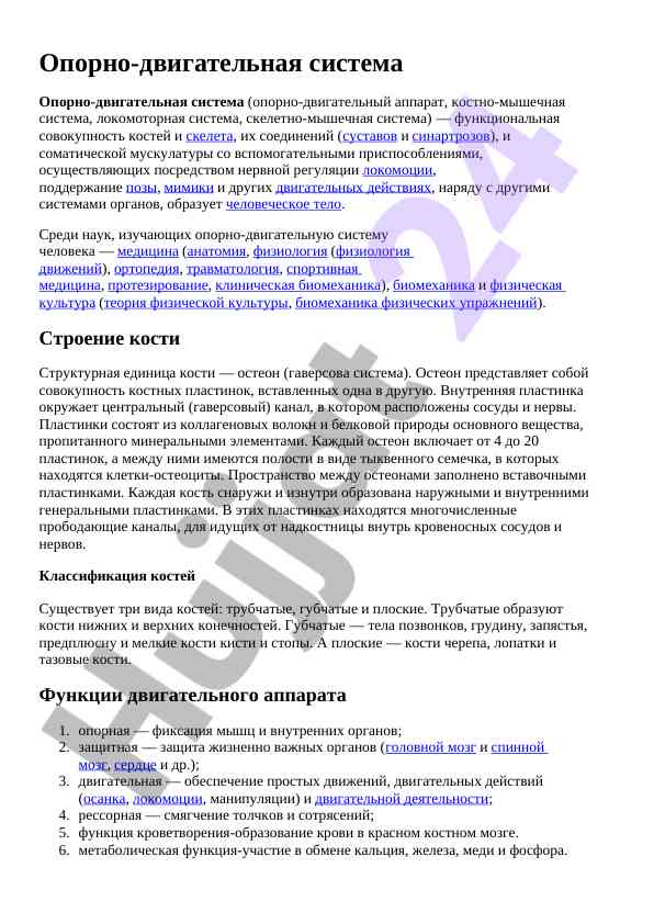 Опорно-двигательная система человека: анатомия и физиология