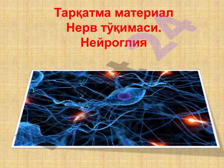 Nerv tўqimasi nеyrоglіya tadqiqotlari
