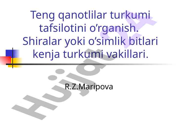 Teng qanotlilar turkumi tafsilotlari