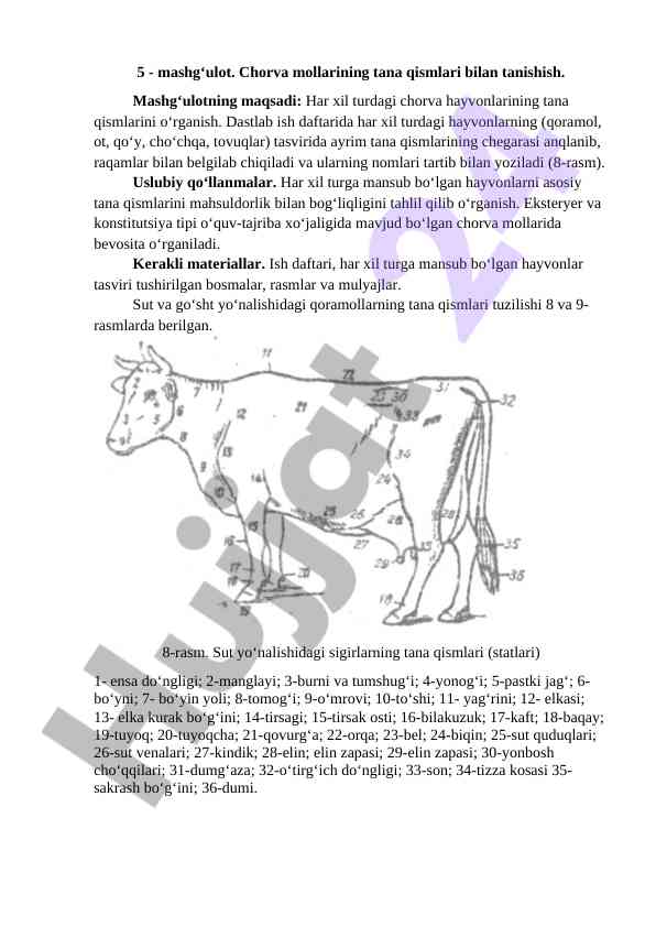 Chorva mollarining tana qismlari bilan tanishing
