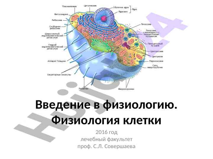 Введение в физиологию и физиология клетки