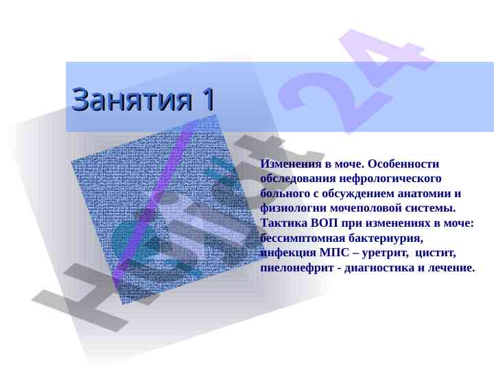 Изменения в моче и обследование нефрологического больного