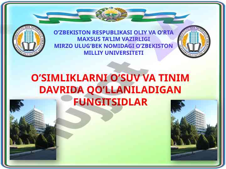 O’simliklarda fungitsidlar va ularning samaradorligi