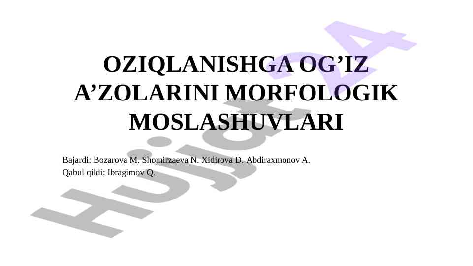 Hasharotlarning og'iz a’zolarining morfologiyasi
