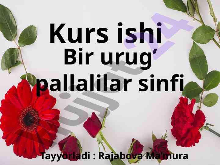 Bir urug’ pallalilar sinfi haqida tavsif