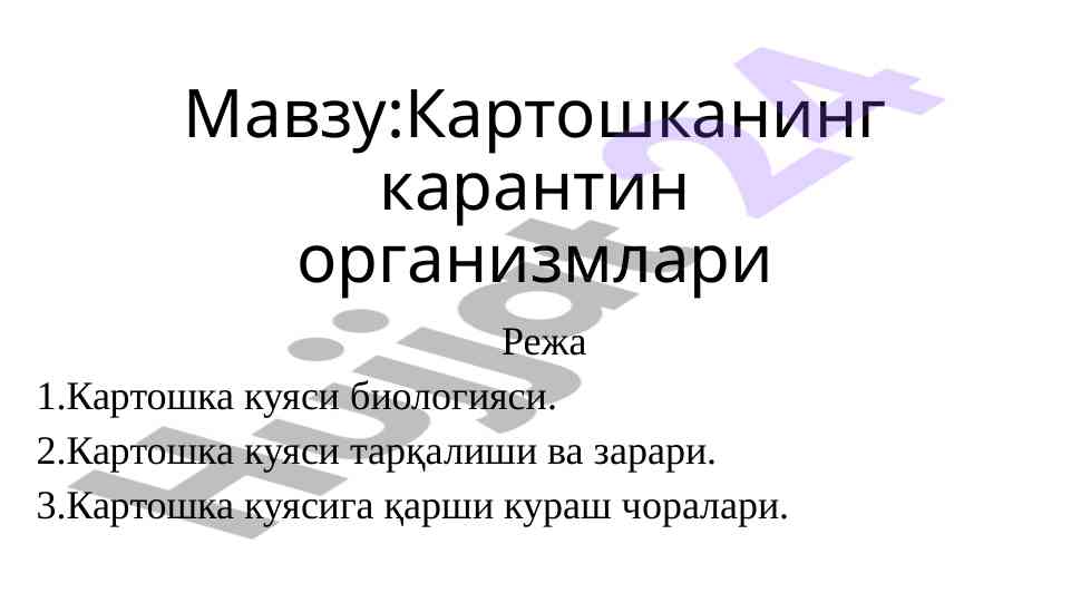 Картошка куяси биоэкологияси ва зарари